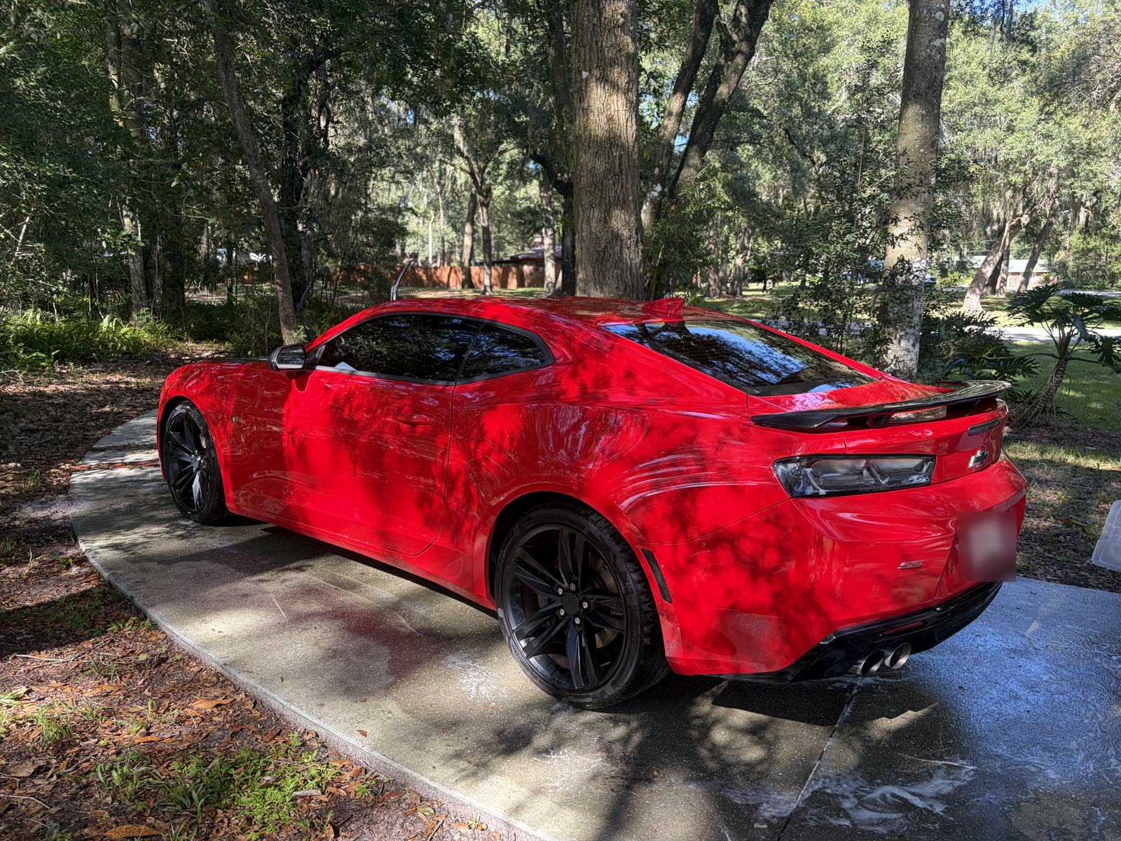 2016 Camaro 2SS - Rear Quarter